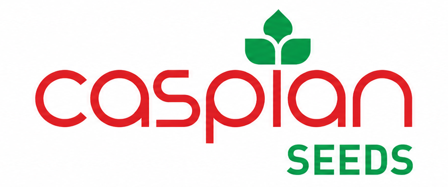 Caspian Seeds logo